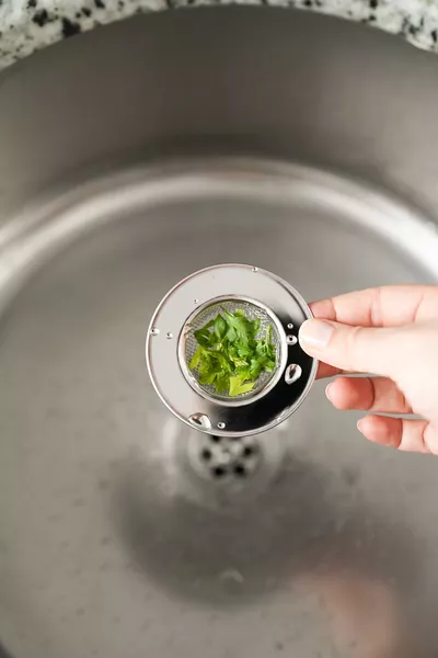 Stainless Steel Sink Strainer
