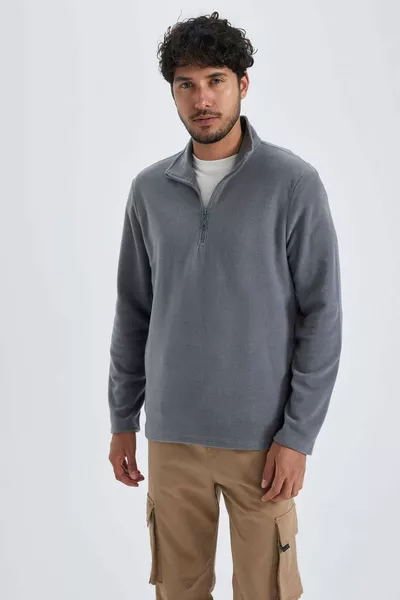 Regular Fit Half-Zip Polar Sweatshirt with Stand Collar