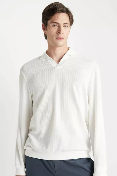 Regular Fit Polo Collar Jacquard Knit Sweatshirt AU