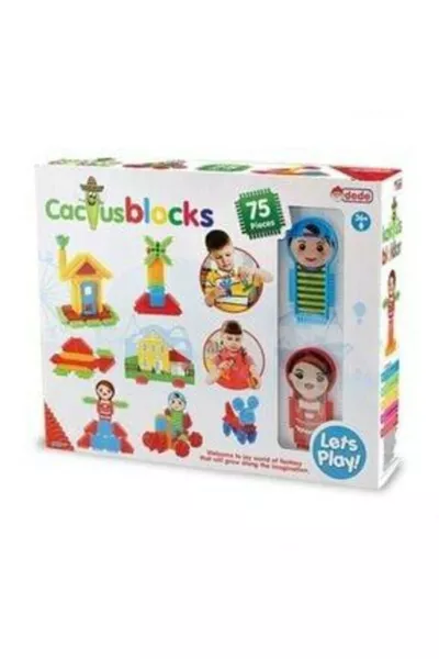 Blocs de cactus  Pièce