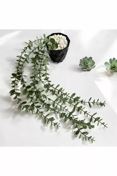 Fejka Black Diamond Pot with Hanging Pastel Eucalyptus