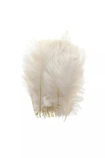  бр. пера за птици за сватбени подаръци, абитуриентски тържества, украса на ветрило, крем – изкуствени цветя за декорация, украса за маса