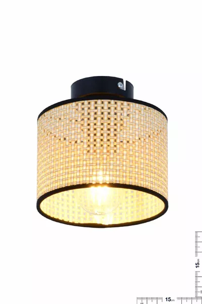 ثريا راطان فاخرة للمدخل، الصالون، المطبخ