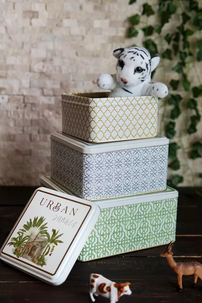 Металлическая емкость для хранения с рисунком Форрест, органайзер, коробка-органайзер для макияжа