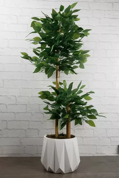 Изкуствено цвете в бетонен саксия Бенджамин за салон, балкон, домашно дърво, зелено растение с тъмен бамбуков стебло, плътно, Cm