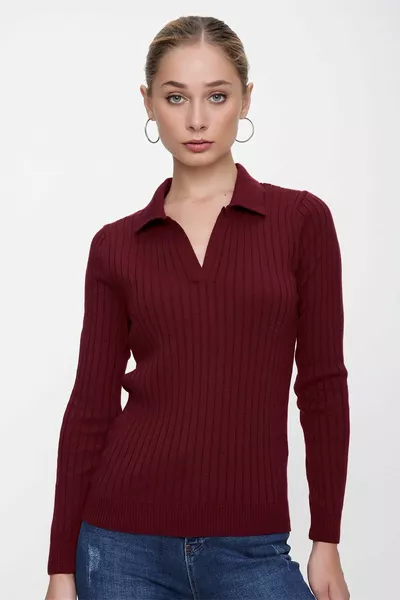 Женский бордовый поло воротник повседневного кроя в рубчик тонкий трикотажный свитер 