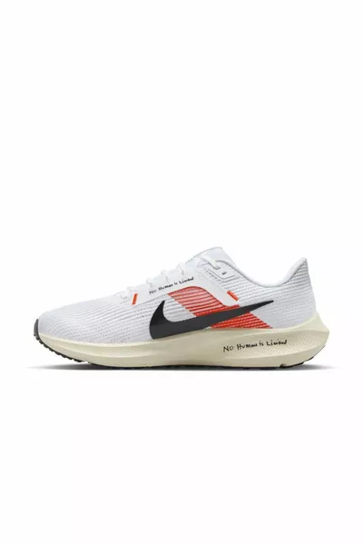 Air Zoom Pegasus  Chaussures de course supplémentaires pour hommes