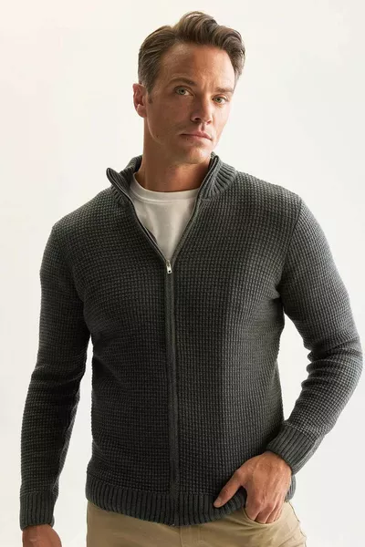 Standaard Fit Normale Pasvorm Halve Colrit Met Rits Wafel Vest AZNS