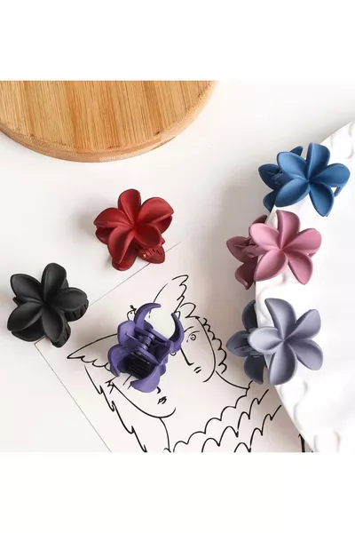 مجموعة نسائية كبيرة 9 سم بتدرجات ألوان الباستيل لوتس مكونة من 6 قطع