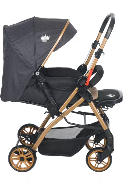 Poussette réversible pour bébé AQUA Gris