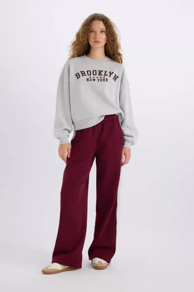 سويت شيرت فضفاض سميك بطبعة وياقة دائرية AXNS