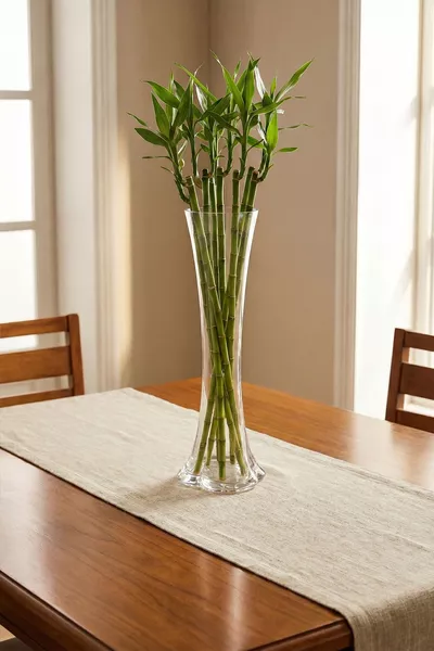 Стеклянная ваза в виде ноги слона длиной  см