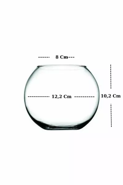 Небольшой стеклянный колпак Botanica, маленький размер см