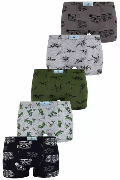 Boys' Mixed Color Printed Boxer 5-Pack