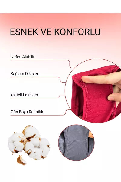 سراويل داخلية نسائية قطنية ملونة باتو / هيبستر - خمري، كحلي، أسود، أخضر، إنديغو، عبوة من 5