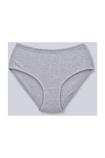 سراويل داخلية نسائية باندو قطنية ريبانا رمادية حزمة من 6