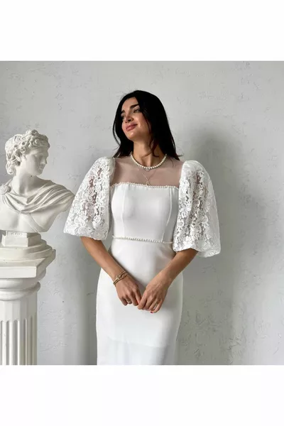 White Balloon Sleeve Transparent Collar Guipure Pearl Detailed Lined Stylish Dress