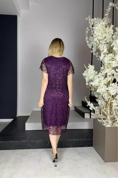  الترتر الدانتيل اللباس البرقوق