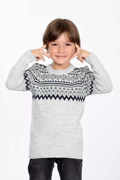 Boys' Regular Fit Knit Sweater