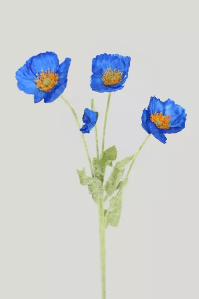 زهر صناعي مجموعة 4 أغصان الخشخاش  سم كحلي