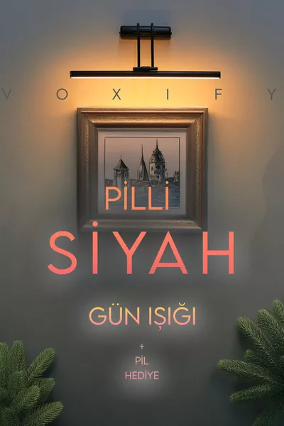 Illuminazione da parete con applique a cigno a luce naturale a pile, illuminazione sopra lo specchio, decorazione per quadri