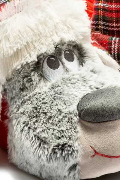  Tw Goldi Brown Figura Animale Panduf Uomo