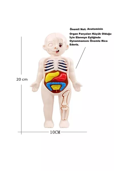 Анатомия на човешкото тяло Орган Пъзел Анатомия Сглобяем Образователна играчка Игра См