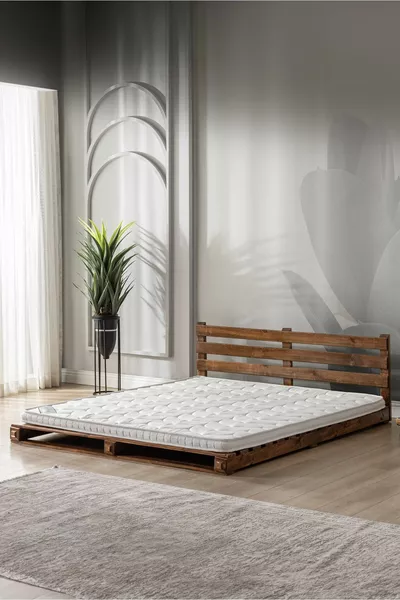 مرتبة طبيعية كاملة أورثوبيدية