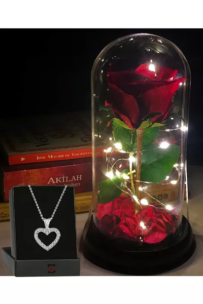 Decorative Fairy LED Light Non-Fading Red Rose Lamp and Zircon Heart Necklace in a Glass Dome