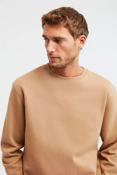 Travis Men's Soft Fabric Regular Fit Crew Neck Brown Sweatshirt