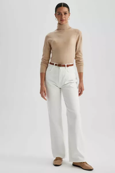 Regular Fit Turtleneck Basic Knit Sweater wn