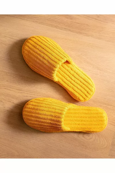 كارلا تيري شباشب