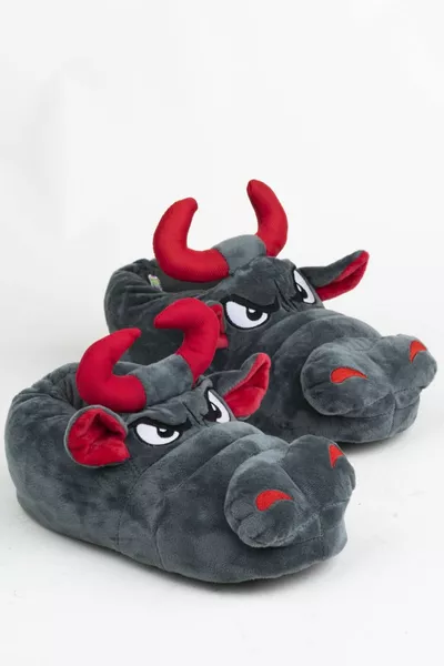 بول هاوس بوتس هوم باندوف