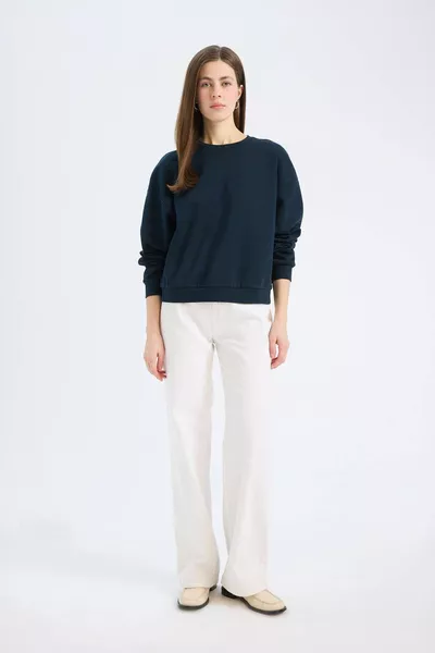 Sweatshirt basique épais à col rond Regular Fit WN