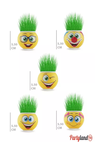 4 шт. смайликов-травянчиков