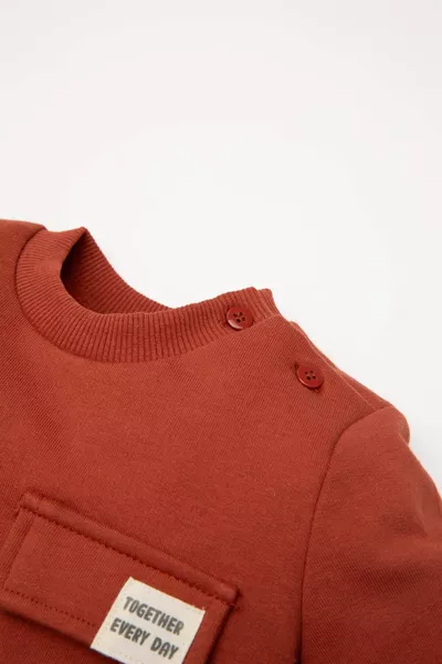 Baby Boy Crew Neck Color Block Soft Fleece Lined Sweatshirt NS