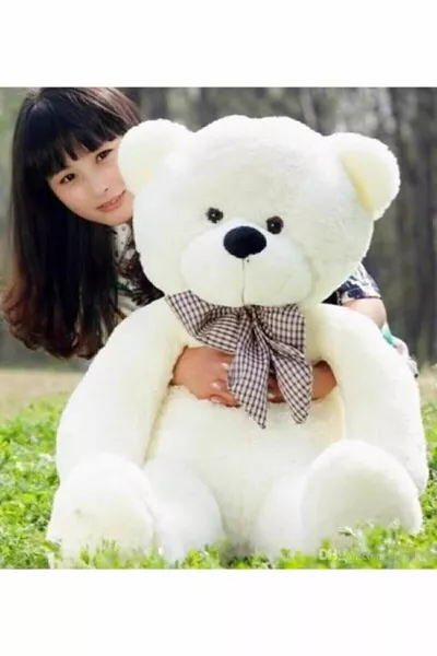 دب محشو هدية