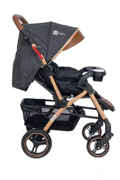 عربة أطفال مزدوجة الاتجاه Active + Plus Gold