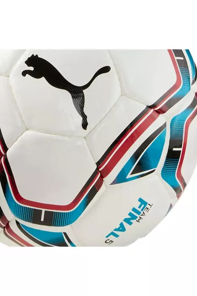 كرة قدم Teamfinal .5 Hs للجنسين متعددة الألوان