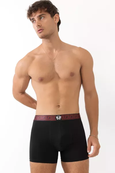 Men's Boxer Where Comfort and Ease Meet, Luxury Boxed