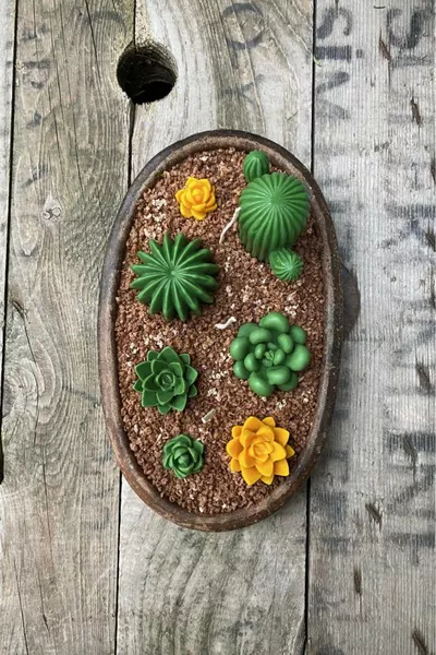 Stampo per candela a cactus Saguaro (silicone) 1 pezzo