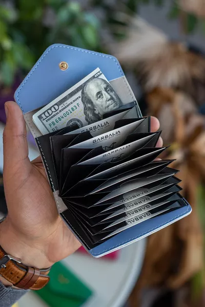 Lviv Vegan Leather Accordion Baby Blue Portafoglio Portacarte Da Donna