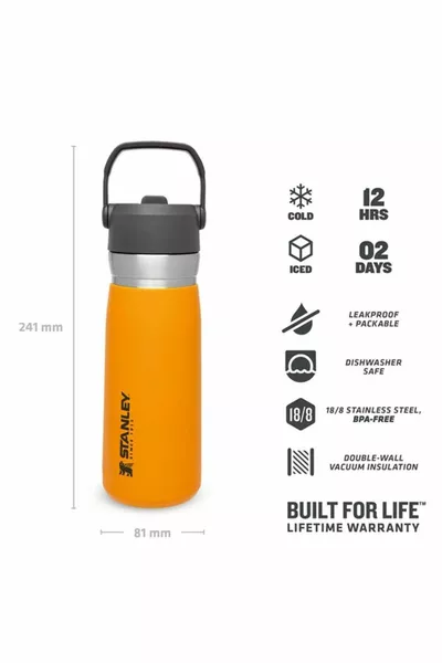 Унисекс Термос Айсфлоу™ Флип Сламена Бутилка за Вода .л/унции