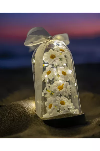 Decoratieve ledverlichte madeliefjesbol voor geliefden, speciaal cadeau voor de Dag van de Leraar