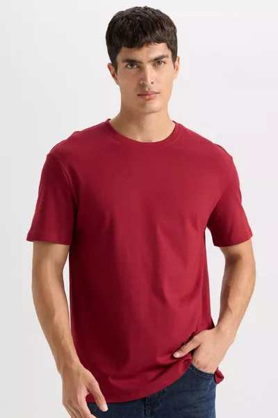 % Pamuk New Regular Fit Bisiklet Yaka Basic Düz Kısa Kollu Tişört AXNS