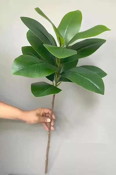 Искусственная ветвь растения каучукового дерева  см (без горшка)