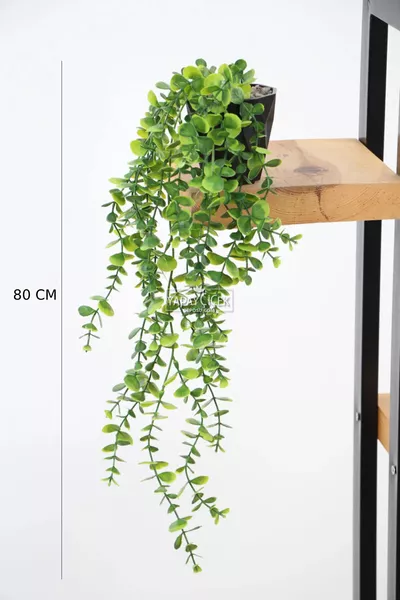 Artificial Flower Dense Leaf Green Eucalyptus Hanging Vine Plant (with Black Plastic Pot)  cm