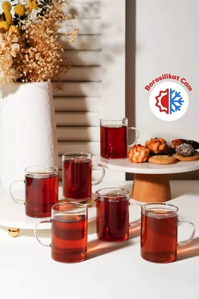 6 أكواب زجاجية فاخرة رفيعة مقاومة للحرارة من البوروسيليكات 