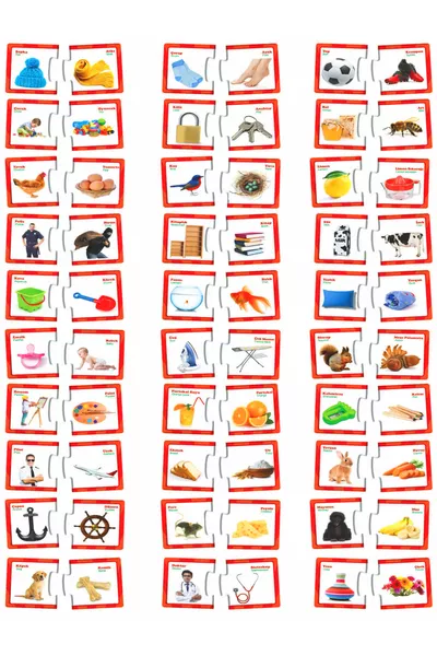 علاقات دييتوي - إنشاء الروابط، ألغاز ممتعة للأطفال من 2-6 سنوات، بطاقات ذكاء للمطابقة