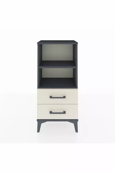 Arges Kast met 2 Planken en 2 Lade Antraciet-Leisteen